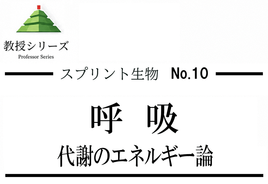 スプリント生物 No.10 呼吸を”エネルギー通貨”として読む ── 解糖系・TCA回路・電子伝達系を一本化する