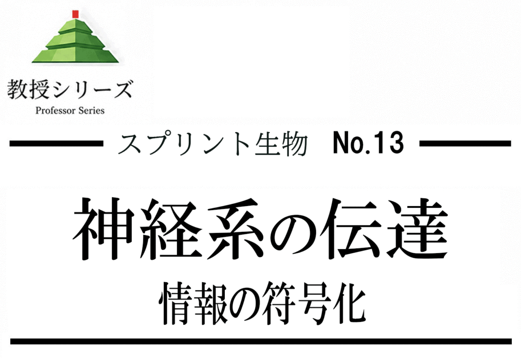 スプリント生物 No.13 神経系を”情報の符号化と伝達”として読む ── 活動電位から神経回路まで一本化する