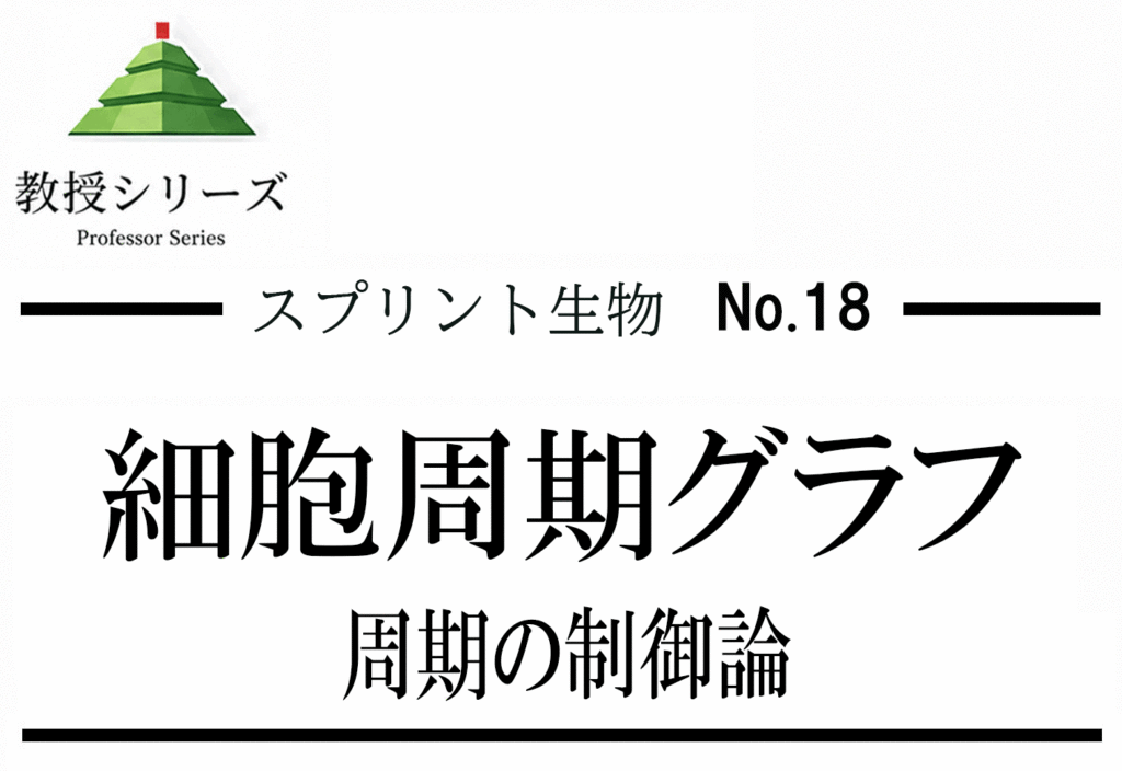 スプリント生物 No.18 細胞周期グラフ ── CDK・サイクリン・チェックポイントで読む