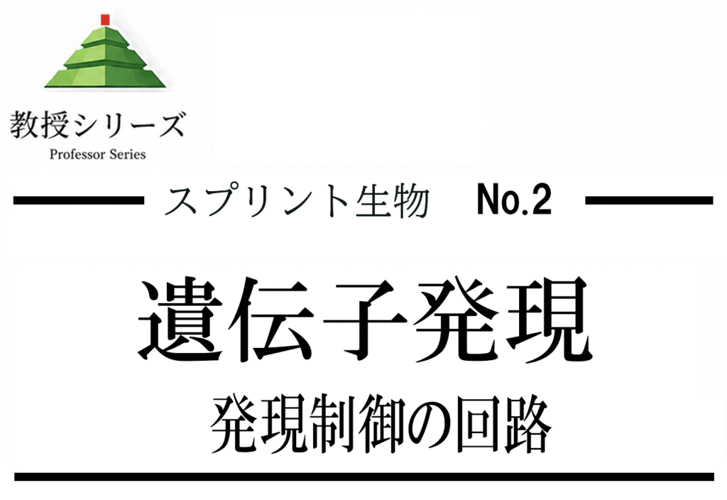 スプリント生物 No.2 遺伝子発現を”情報処理”として読む ── 転写・翻訳の調節を制御回路で整理する