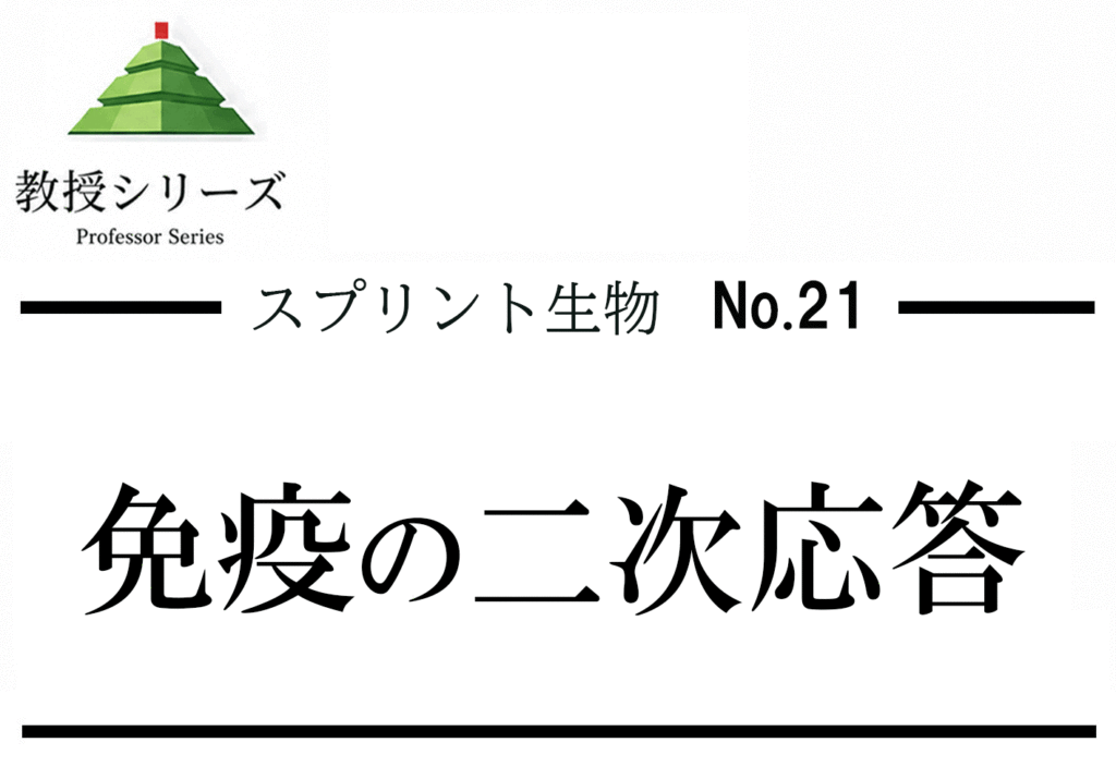 スプリント生物No.21 免疫・二次応答 ── クローン選択・アフィニティ成熟・クラススイッチ