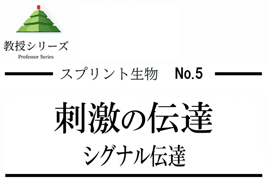 スプリント生物 No.5 神経・筋肉を”シグナル伝達”として読む ── 活動電位から筋収縮まで一本化する